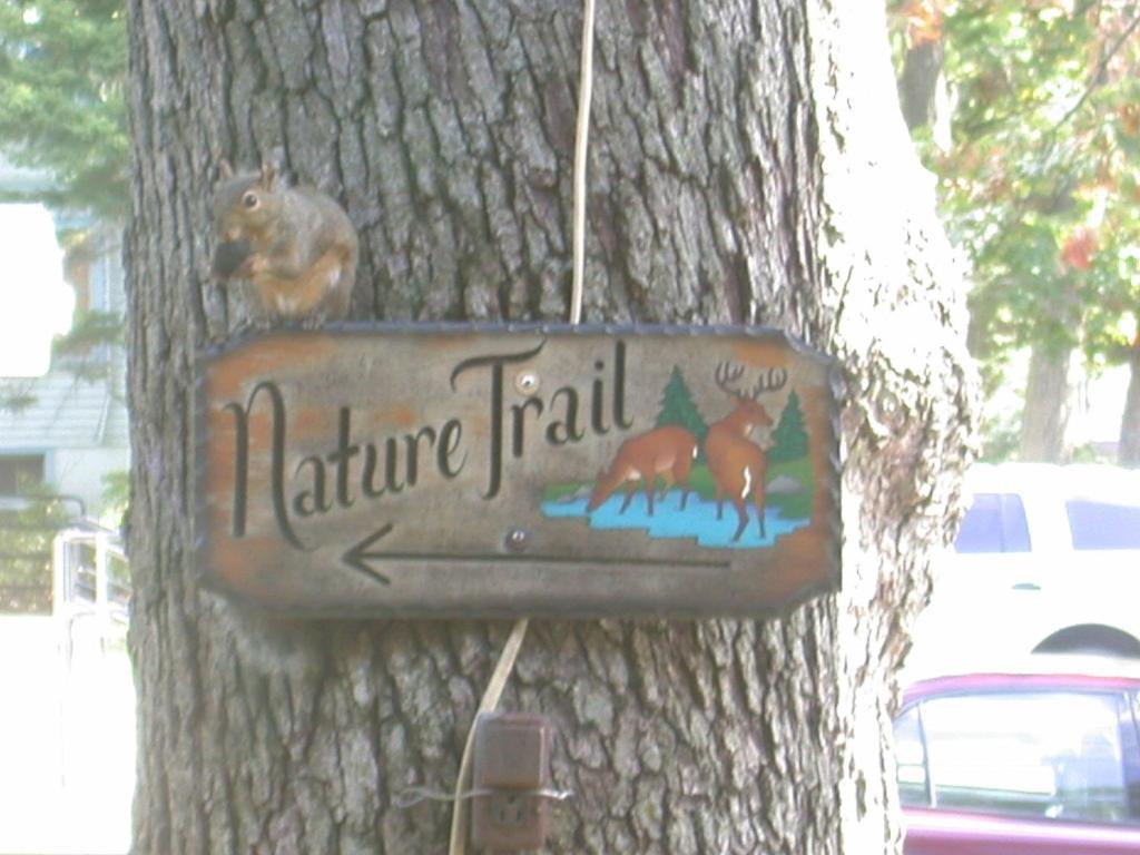 ויסקונסין דלס Indian Trail Motel מראה חיצוני תמונה